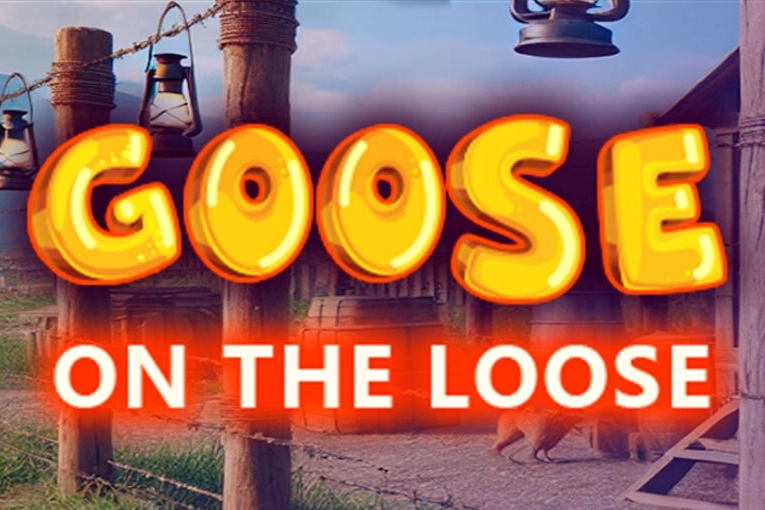 Goose On The Loose